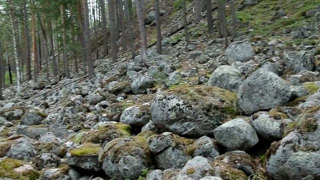 Ладога. Возрождение. Сила. 2016. Екатерина Татаринова смотреть онлайн