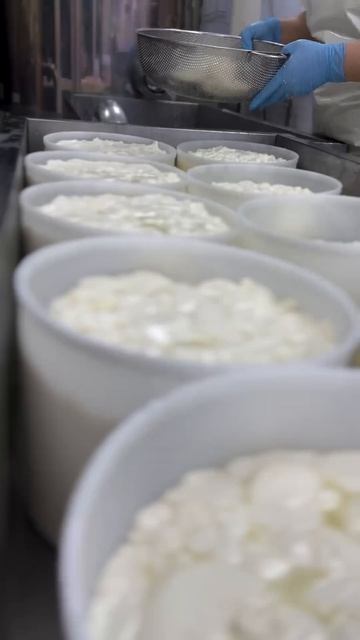 Сыр&Beer - это не просто семейный бизнес, это дело жизни!  #сыр #семья #мама #хобби #сыроварня #дом смотреть онлайн