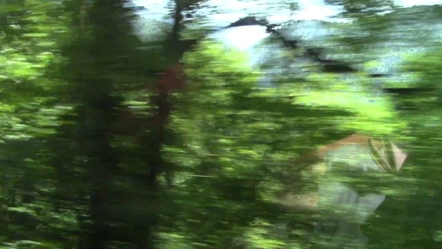 Путешествие по АБХАЗИИ 8 июня 2024 год смотреть онлайн