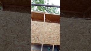 постройка новой голубятни