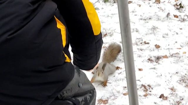 Наедине с природой//Стоянка Ильича//Тропа здоровья. смотреть онлайн
