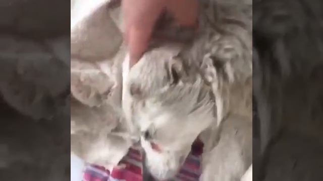 Малыш через 7 дней. смотреть онлайн