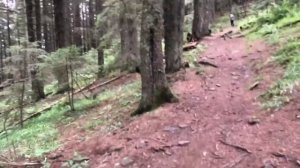 Кукул і кострича  (сюрприз для Яринки)