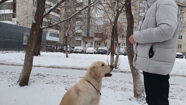 не подбираем брошенный корм смотреть онлайн