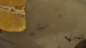 Вареные рапаны