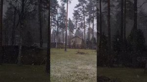 26.04.2025 Колосково