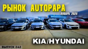 Обзор цен на Hyundai и KIA рынок AUTOPAPA. Мастер Вадя Грузия.#automobile #top #mastervadya