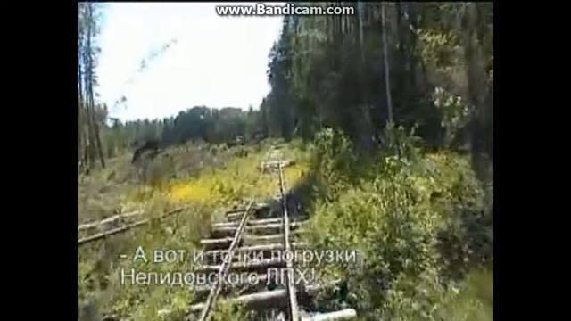 Работающяя ветка Нелидовской УЖД