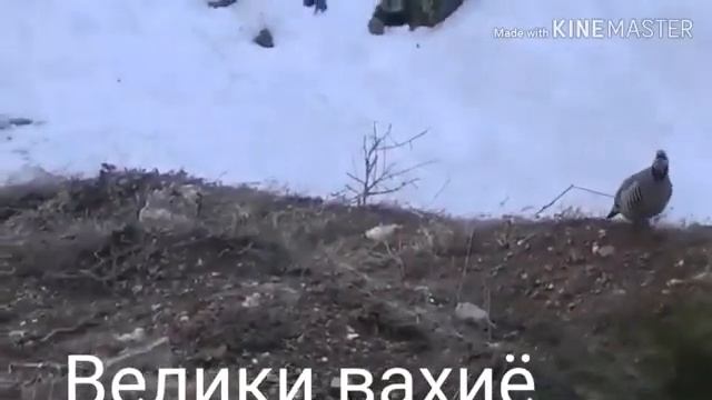 Арезухо иншаалох смотреть онлайн