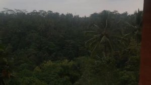 Обзор отеля Padma Resort Ubud 5* review Tez Tour