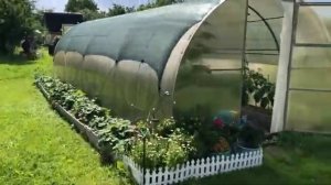 Показываю цветущий сад и газон часть (11)