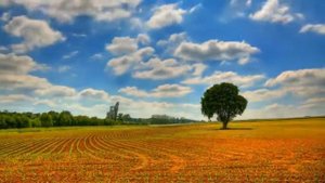 Песня про нашу Украину !