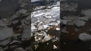 Ледоход 😌😌😌
