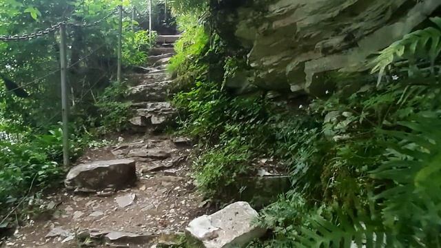 Один день в Хосте Тисосамшитовая роща смотреть онлайн