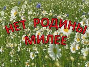НЕТ РОДИНЫ МИЛЕЕ  (КАРАОКЕ  МИНУС)