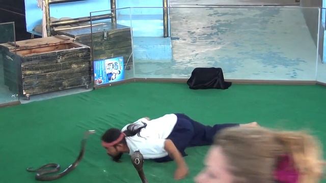 Таиланд 2011 змеиная ферма (видео 1) смотреть онлайн