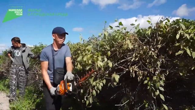 Сквер «Ровесникам, ушедшим в бой» смотреть онлайн