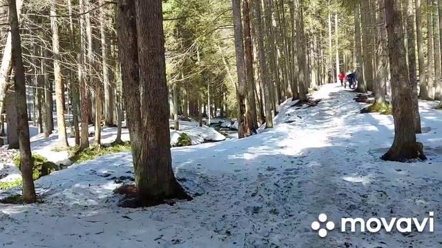 Восхождение на Говерлу.04.05.2021. смотреть онлайн