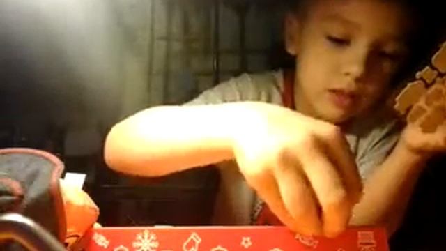 Копилка  и Рыжий кот  Снежок