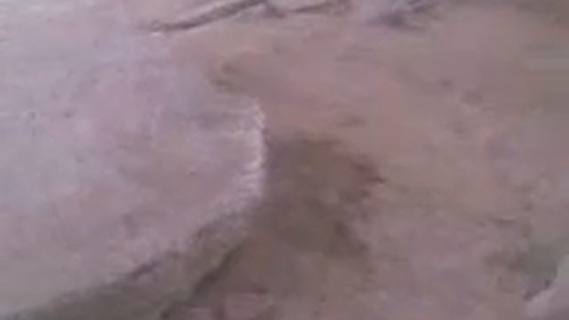 Моя деловая Крым 2006 смотреть онлайн