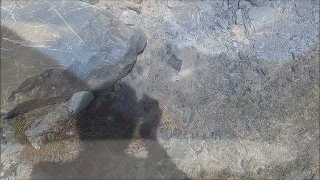 2024 03 Ч.11  Mount Cook - Hooker Valley Track