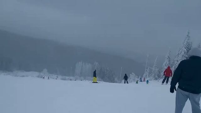 Витоша 06012019 2