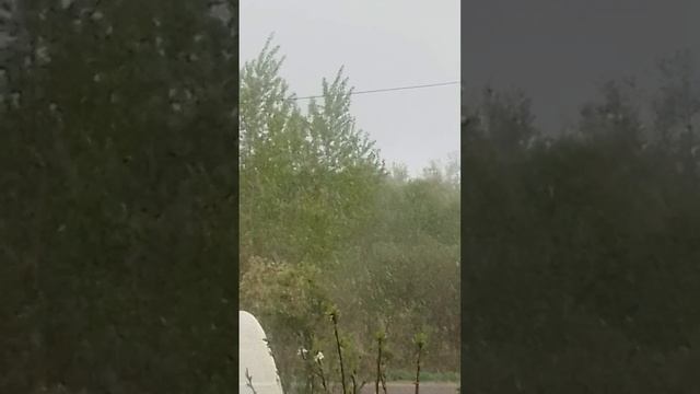 СНЕЖОК В АПРЕЛЕ