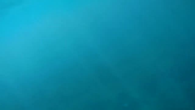 Партенит 10 09 2020 смотреть онлайн