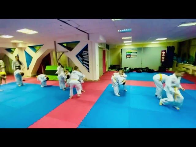 Прыжков ноги врозь или через козла, упражнения из гимнастики и акробатики, спорт смотреть онлайн