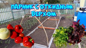 Парник с откидным верхом. Скроил из старого парника 👀👍