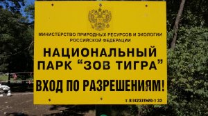 Путешествие в заповедник Зов тигра река Милоградовка