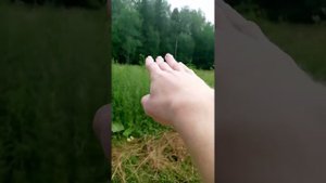 прогулка 7июля