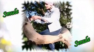 В.А.Моцарт - Ариетта Керубино "Что так тревожит" (Voi che sapete) (на русском)