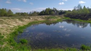 25.4.25 Кваканье лягушек