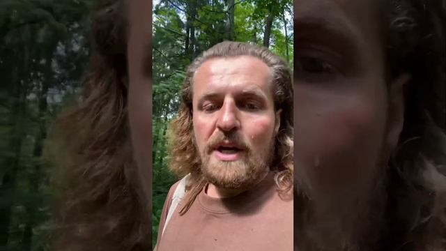 Я себе не верю! Живущий в лесу. смотреть онлайн