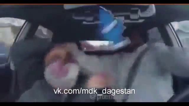 Щайзе (Прикол) смотреть онлайн