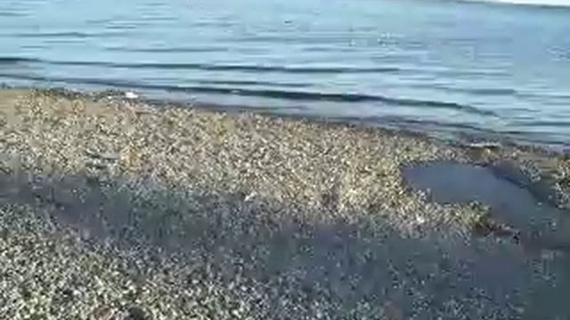 4 утра в Мурманской обл.AVI