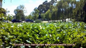 10 самых интересных мест вокруг Сиднея