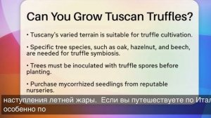 story of italy: Можно ли вырастить Трюфель?