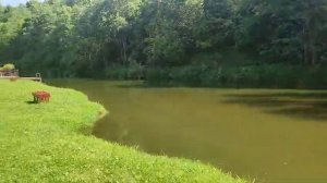 VID-20250426-WA0002
