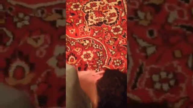 Придурок вырубил себя со второго удара смотреть онлайн