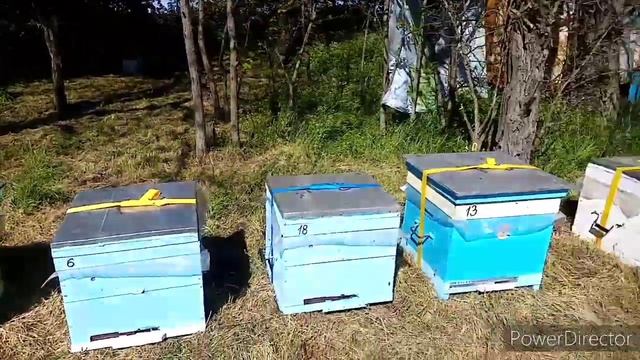 8.05 вывозим пасеку на кочевку! смотреть онлайн