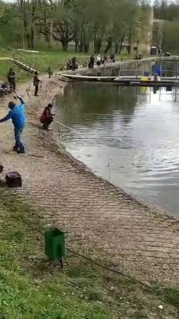 1000004041.mp4