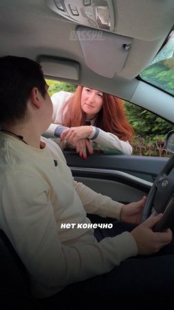 Кот автолюбителя