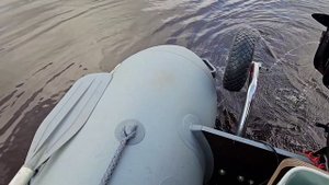 2023.07.22 Ловля щуки на хорватское яйцо, река Ямсовей, река Пур ЯНАО