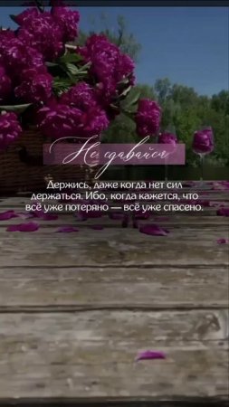 Не сдавайся.