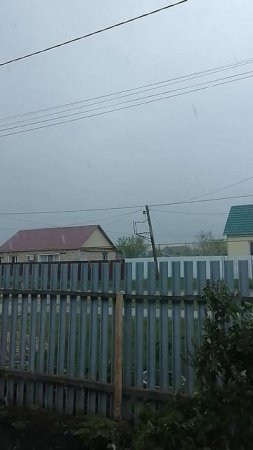 погулял!
