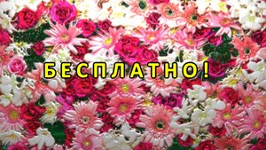 Цветомузыка, Виджеинг, Футаж, Фон, Анимация, Арт-пространство — Бесплатно! (2K 60 FPS) №42