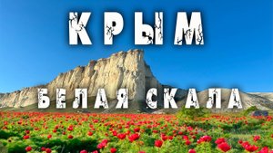 Целое поле диких пионов у Белой скалы в Крыму! Потрясающе!