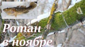 Рыбалка в Самаре. Ротан по перволедью в ноябре